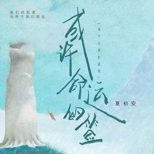 或许命运的签 (降调版)