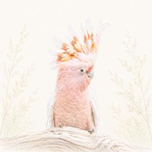 Listening, Witnessing (Listening To My Heart Again)