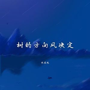 青春无法挽回