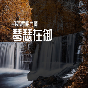 琴瑟在御