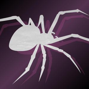 spider