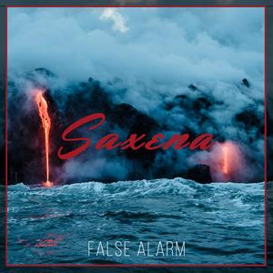 False Alarm (feat. Nick Babcock)