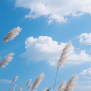 星河流转思无穷