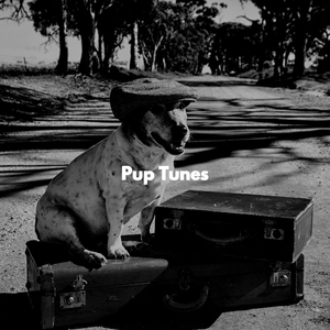 Hot Music for Taking Dogs on Holidays