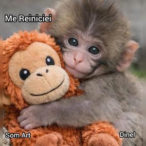 Me Reiniciei