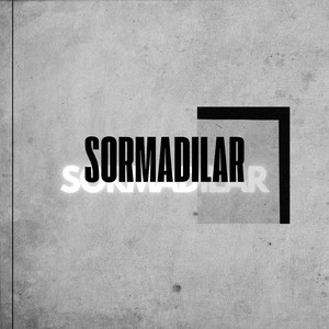 Sormadılar