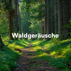 Waldklänge