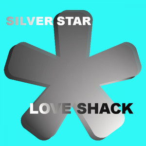 Love Shack (Fashionmix Extended)