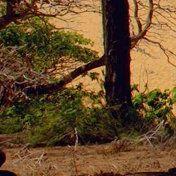 我最亲爱的老朋友 伴奏