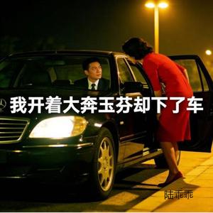 我开着大奔玉芬却下了车 (DJ涵哈版)