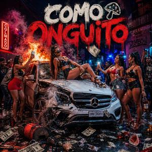 COMO ONGUITO