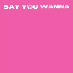 Say You Wanna