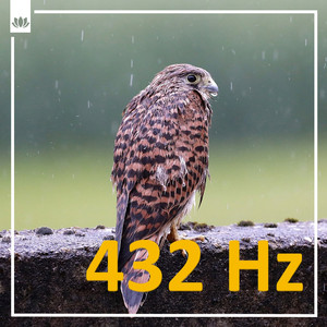 ４３２Hz 瞑想 - 雨の中で踊る鳥たちとともに痛みを癒す