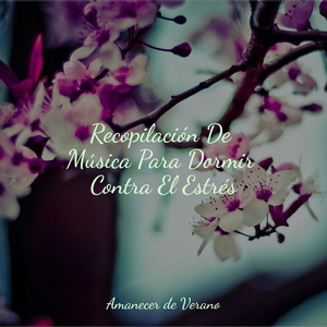 Visiones Inspiradoras