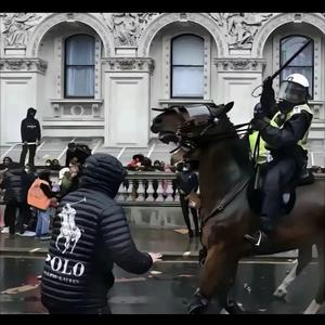 旋律王-三亿技师的梦