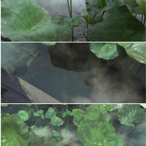 藏龙（翻自 不才）