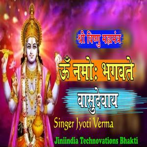 Shri Vishnu Mantra