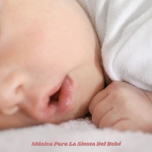 Bebé Durmiendo Plácidamente en la Siesta