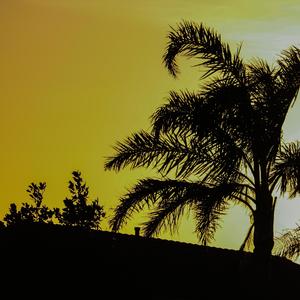 i lost what was most important to me and i think its now impossible to get that back....