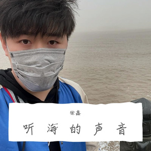 听海的声音