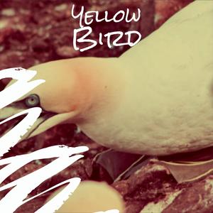 She's Just A Whole Lot Like You