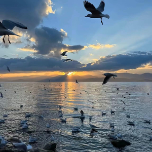 探故知（DJ阿峪 remix）