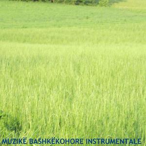 Muzikë Bashkëkohore Instrumentale