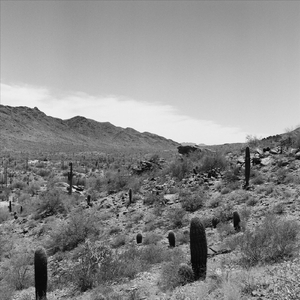 Low Plains Drifter