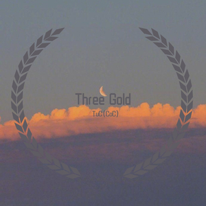 Three Gold（Prod by ljx Ghost)