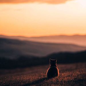 乱码代号＃百万奖金 AI 创作大赛＋主题三