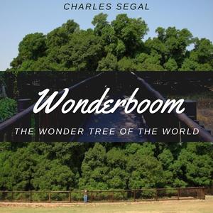 Die Wonderboom