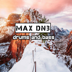 Max DNB