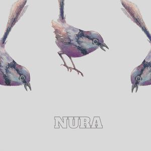 Nura
