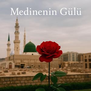 Medinenin Gülü
