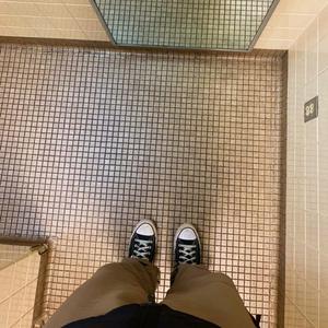 FloatingPetals (feat. overpade)