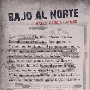 Bajo al Norte