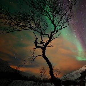 阿尔法波脑波音乐 大自然雨声助眠