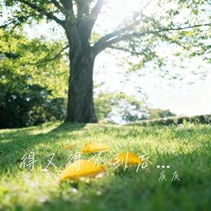 得又得不到忘又忘不掉 (Cover 樊静儿)