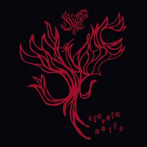 Clareia Noite