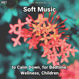Soft Music, Pt. 46
