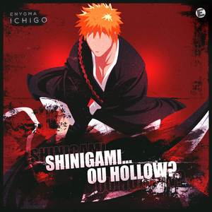 Shinigami... Ou Hollow (Ichigo)
