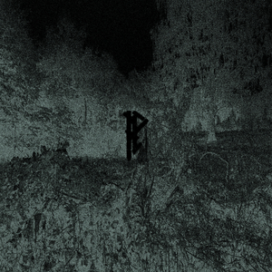 Проходя электронные дебри