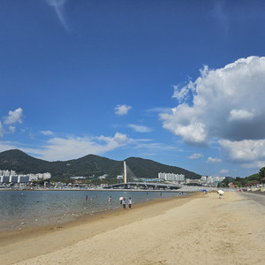 잉어가 떠돌던 연못에서