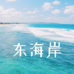 东海岸