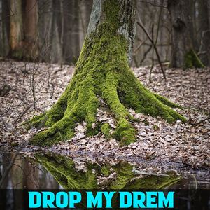 Drop My Drem