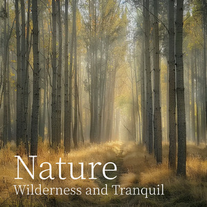 癒しのギターとα波効果 深い眠りに落ちる睡眠用ヒーリングbgm「セロトニン」で睡眠の質向上 (自律神経を整える睡眠用 森 鳥)