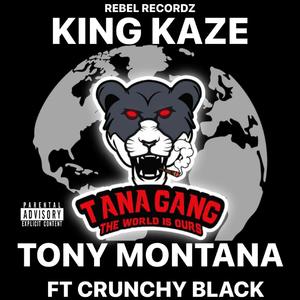 TONY MONTANA (feat. CRUNCHY BLACK) (Remix)