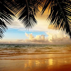 Sonata in G - Pleas and Rejection