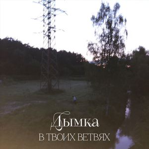 В твоих ветвях