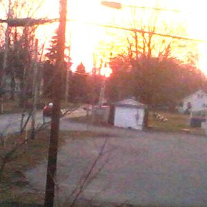 whatever (feat. guitarbf)